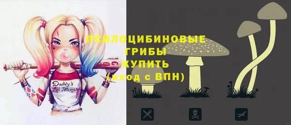 бошки Алексин