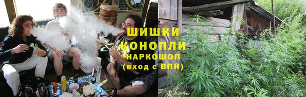 бошки Алексин
