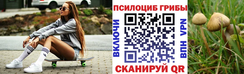 Псилоцибиновые грибы Psilocybine cubensis  Наволоки 